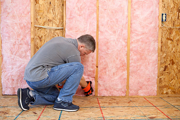 Types of Insulation We Offer in Lamesa, TX